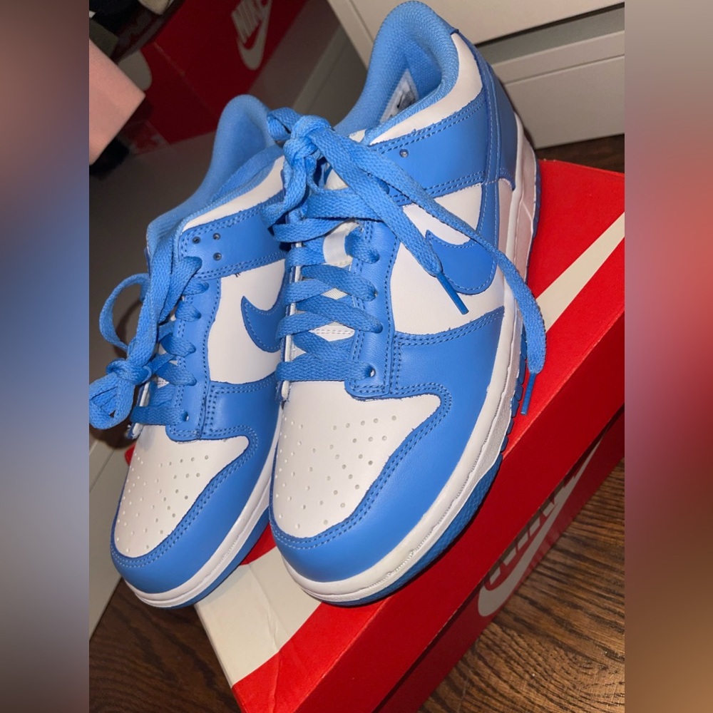 Brand new Nike dunks . Size 7